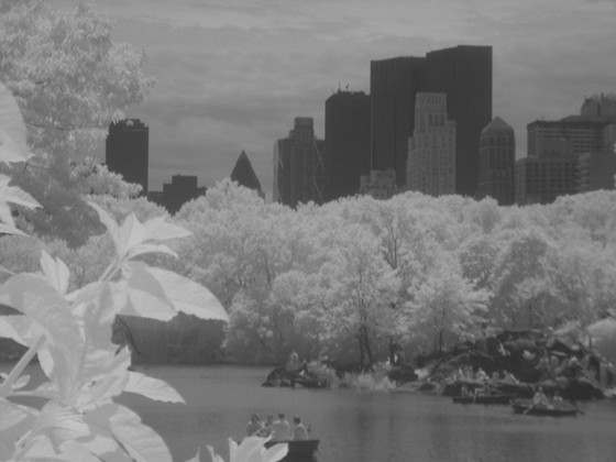 Landscapes: Infrared