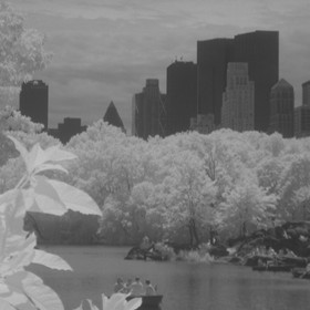 Landscapes: Infrared